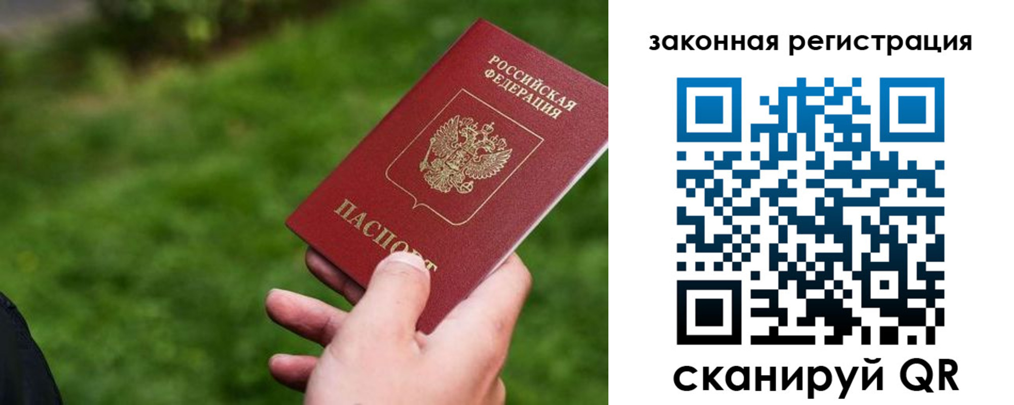прописка законно в Железногорске